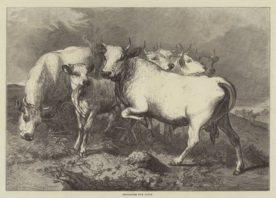 Chillingham Wild Cattle by George Bouverie Goddard